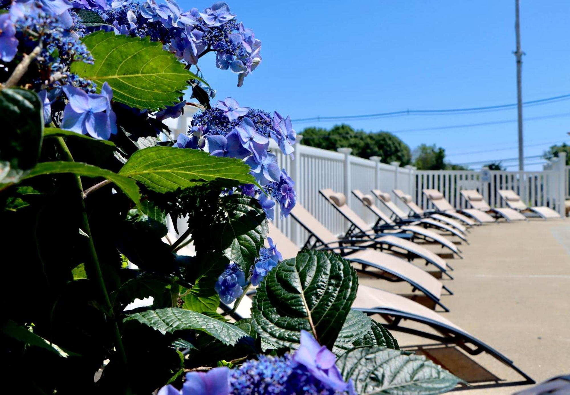 Sea View Motel Ogunquit Luaran gambar